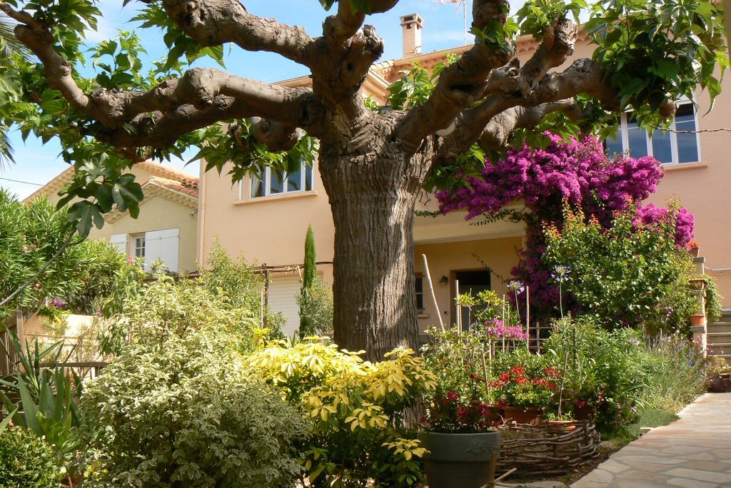 L' Escale Tranquille Bed and Breakfast Σετ Εξωτερικό φωτογραφία